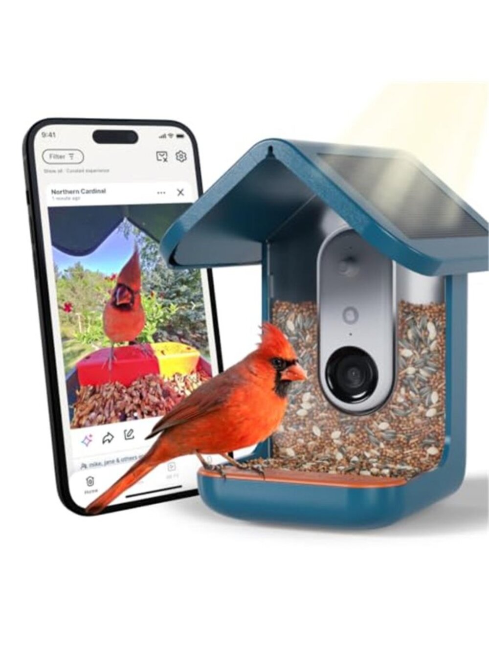 Solar Smart Bird Feeder with Camera - AI Bird Species Identification, 5MP Photos